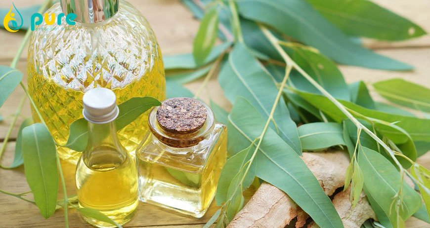 Tinh dầu khuynh diệp